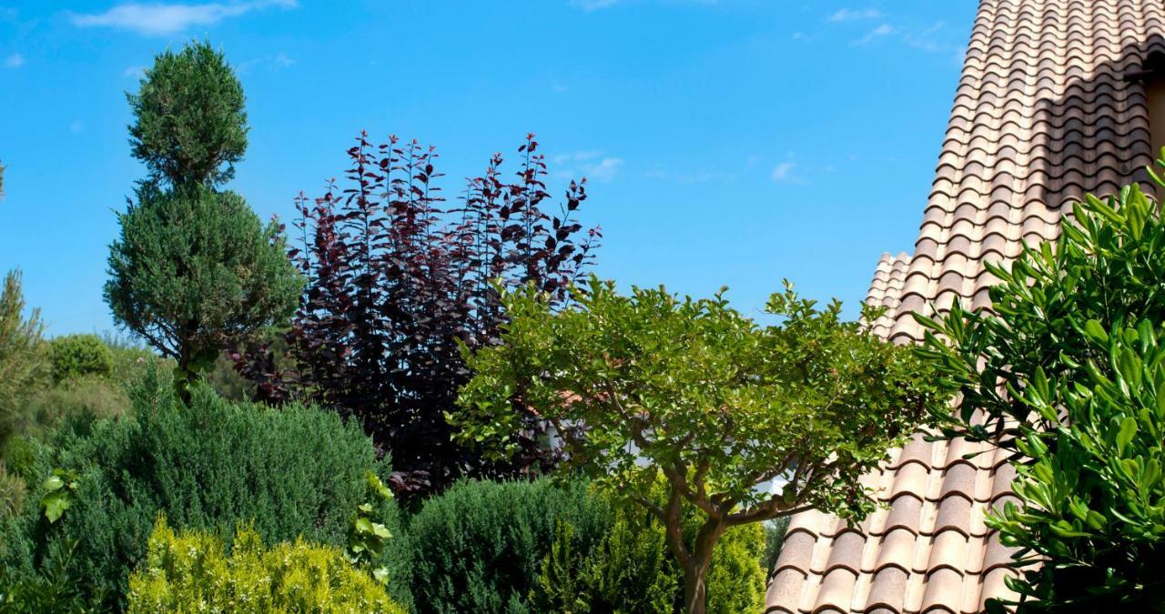 Apartament Les Tonyines Llanca Exterior photo